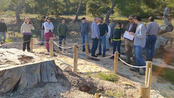 Gestion frestal